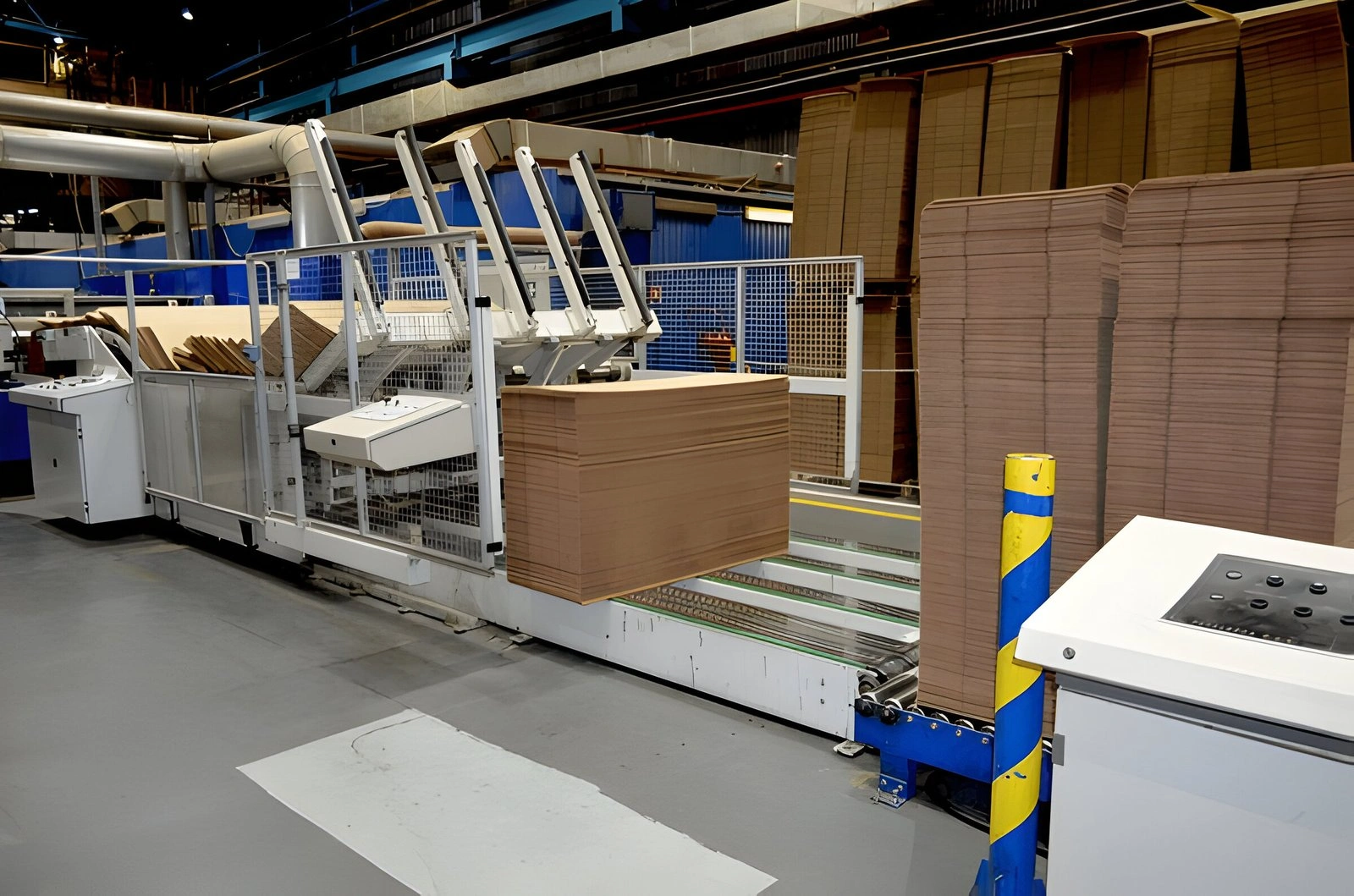 Corrugator